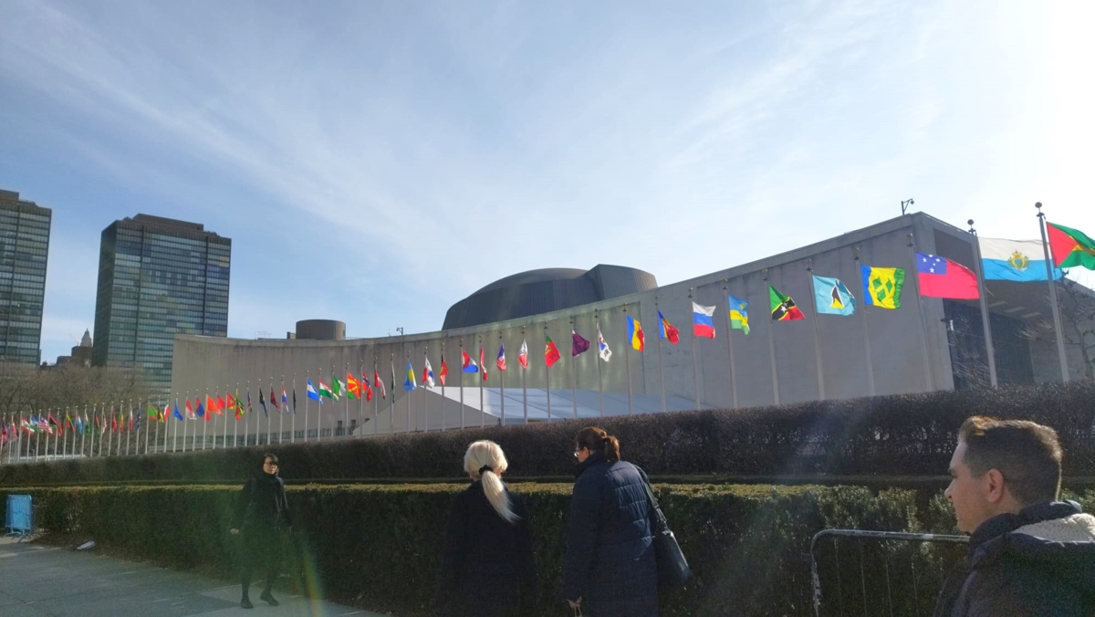 flags of nations in front of the UN building