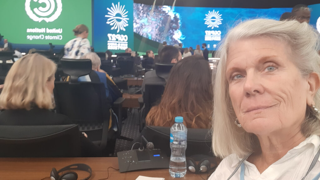 Deb Pritchard at COP27