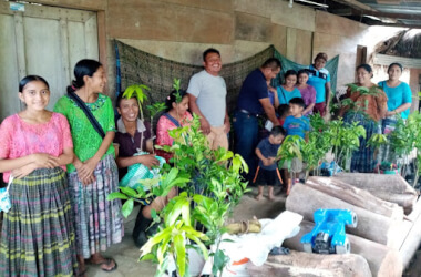 Guatemalans with trees to plant